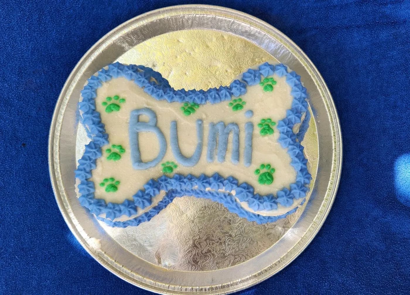 A bone-shaped birthday cake with blue icing and paw prints