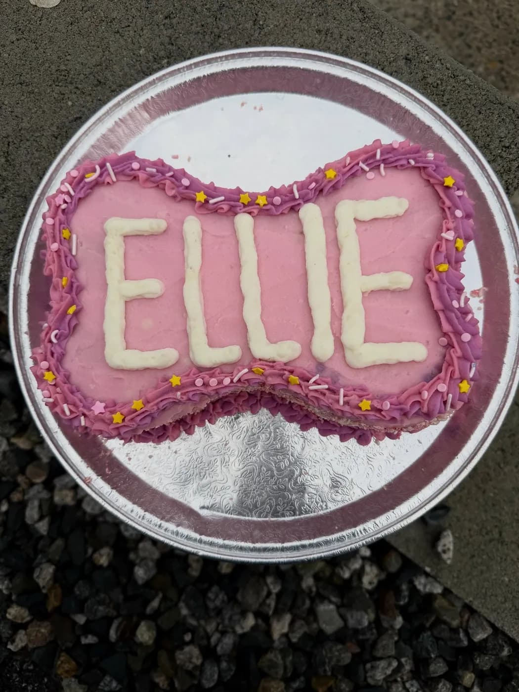 A pink bone-shaped birthday cake with sprinkles